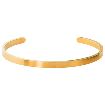 【快速出貨】法國 ROCHET PURE系列 不鏽鋼男士手環-金 HBJ8587