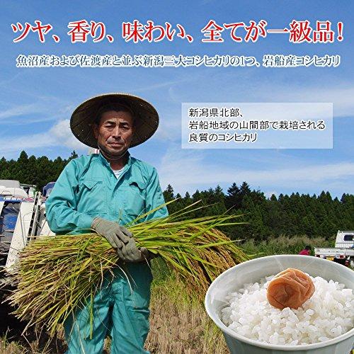 新潟県産 無洗米 岩船産コシヒカリ 農薬無使用 4kg