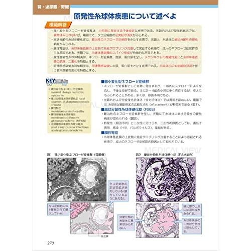 病理学 (カラーイラストで学ぶ 集中講義)