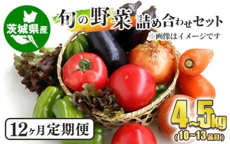 旬の野菜詰め合わせセット 毎月12ヶ月 10～13品目 4～5kg
