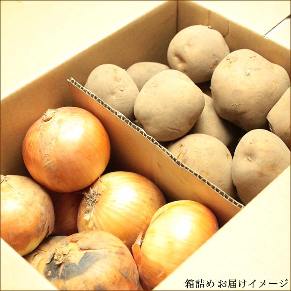 お歳暮 北海道産 野菜セットBs 5kg(メークイン 3kg・玉ねぎ 2kg) 旬 じゃがいも 玉葱 野菜 ギフト セット 詰め合わせ 北海道 グルメ お取り寄せ