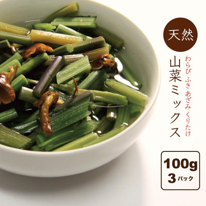 山菜ミックス水煮 国産 山形県小国町 山菜加工品 3パック（100ｇ×3） 田舎のごちそう 送料無料