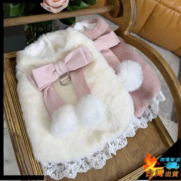 【台灣出貨】寵物棉裙 狗狗衣服 泰迪公主裙 比熊博美小型犬裙子 約克夏貴賓貓咪衣服 貓咪裙子 秋冬裝