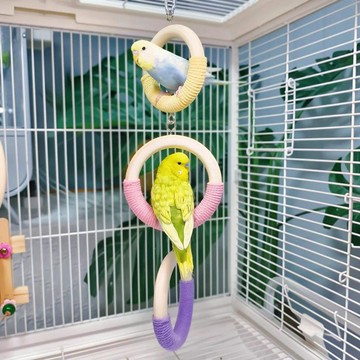 🌸鸚鵡玩具圓形圈環圈鸚鵡鳥籠站杆掛環吊環鞦韆鳥用站架鳥籠配件用