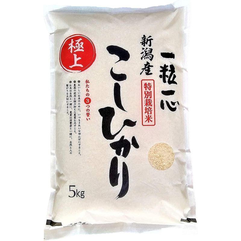 農家直送《令和4年産》新潟県産こしひかり 白米 5kg 減農薬栽培特別栽培米