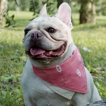 雙面領巾_營隊小隊長(粉)_寵物領巾/可拆式/可調節