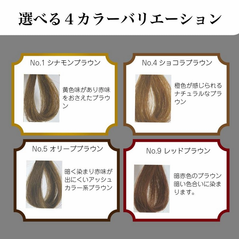 ヘナ 白髪染め ホームキット (50g＋50g) No.1シナモンブラウン