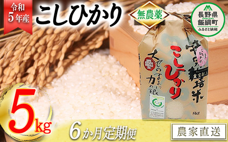 米 無農薬栽培 こしひかり 5kg × 6回 令和5年産 特別栽培米 なかまた農園 2023年10月上旬頃から順次発送予定 コシヒカリ 白米 精米 お米 無農薬 数量限定 信州 180000円 予約 農家直送 長野県 飯綱町 [1186]