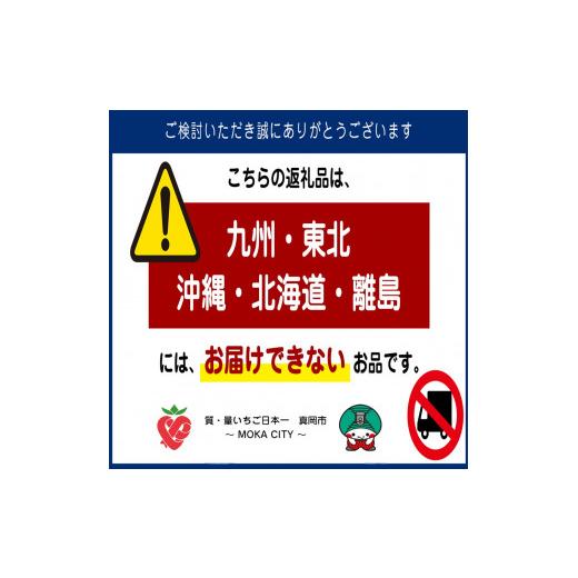 ふるさと納税 栃木県 真岡市 朝摘み とちあいか 800ｇ　