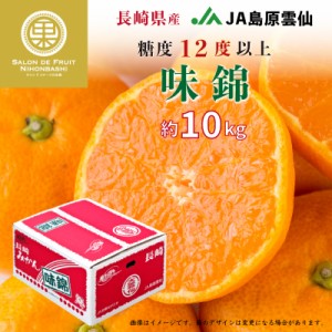 [予約 2024年1月1日必着] 味錦 10kg Sサイズ みかん 高糖度 長崎県産 JA島原雲仙 JA全農ながさき 産地箱 お正月必着指定 お年賀 御年賀