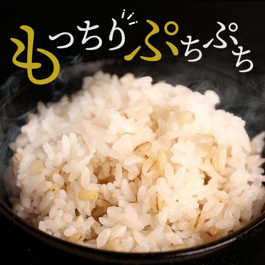 黄金のもち麦 1kg (500g×2個)もち麦ごはん もち麦 国産 九州産 機能性表示食品