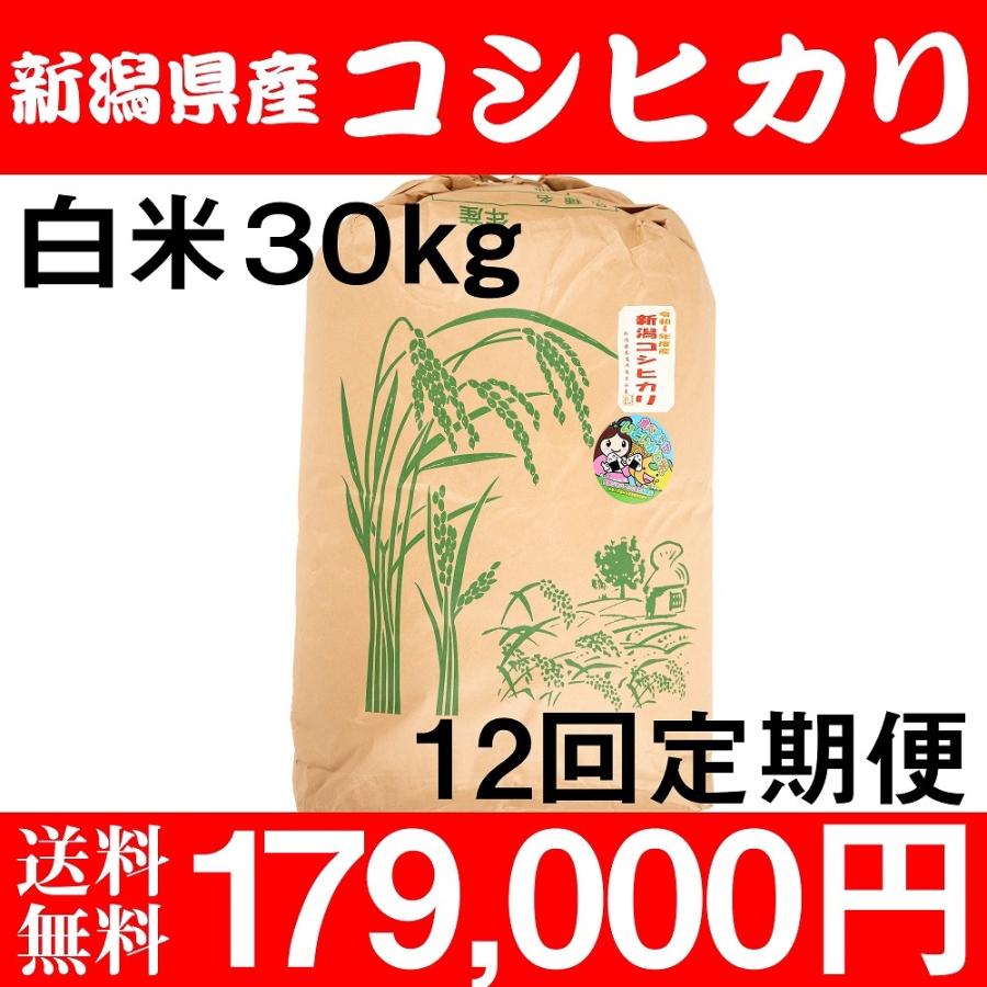 お米 30kg 白米 送料無料 農家直送 新潟県糸魚川産 コシヒカリ 新米 令和5年度産 12回定期便