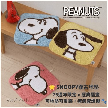 嘻嘻日貨🐾 現貨 日本限定 SNOOPY 史努比 75周年 方形 地墊 掛牆裝飾 居家裝飾 母親節禮物