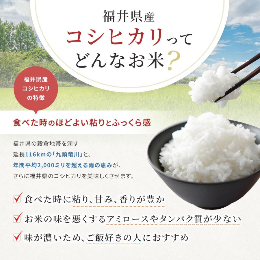 新米 米 無洗米 10kg 5kg×2袋 コシヒカリ 福井県産 白米 令和5年産 送料無料