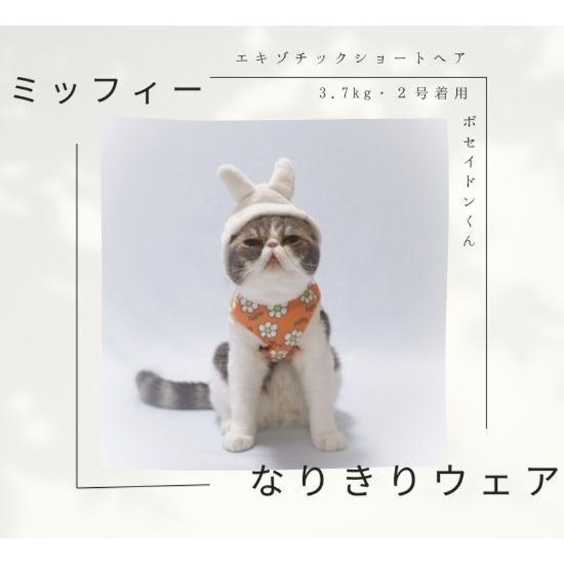 アウトレットセール ペット 犬服 ペットウェア Miffy ミッフィー