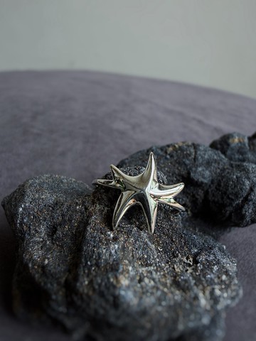 savageness 天道家 | 深海裡的繁星 925銀戒指 純銀 孤品