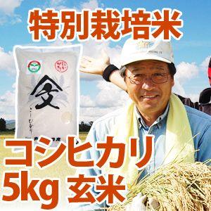 令和5年産新米 新潟県産 「特別栽培米コシヒカリ」 玄米5kg
