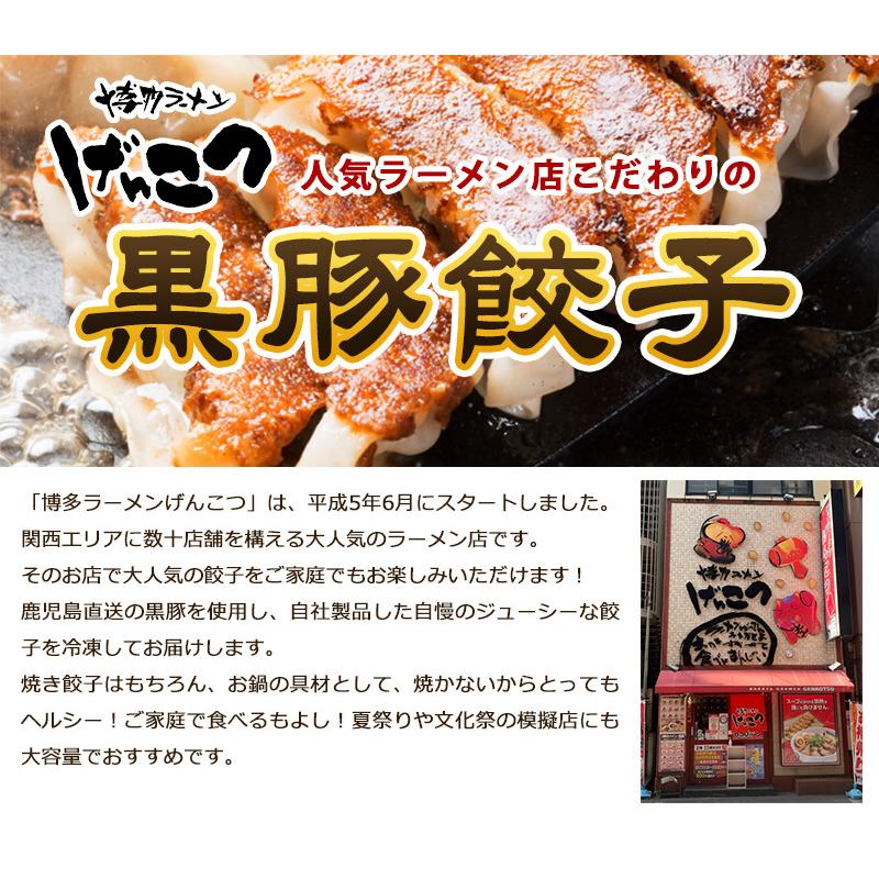 博多ラーメン　げんこつ　黒豚餃子288個　(48個入り×6袋)　送料無料　冷凍