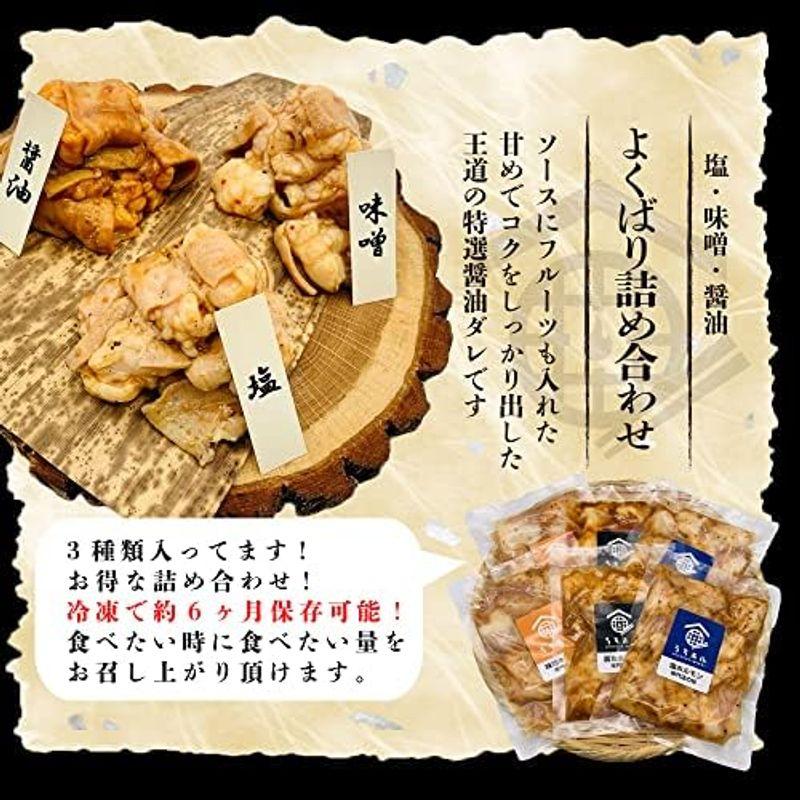 うちホル 国産牛 大トロホルモン 塩味 600g［焼肉 バーベキュー キャンプ お取り寄せ 通販 TOORO