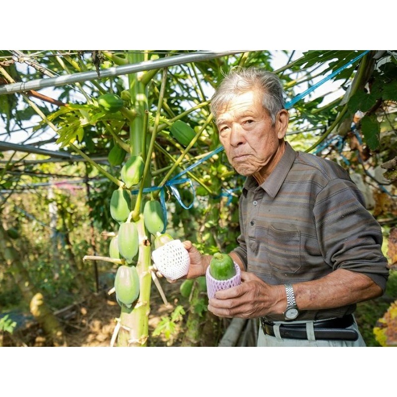 定期便】ふるさと納税限定E!!旬の京野菜セット10種+特別栽培米コシヒカリ2kg+特産品3品【半年間お届け】月1回×6か月 通販  LINEポイント最大4.0%GET | LINEショッピング