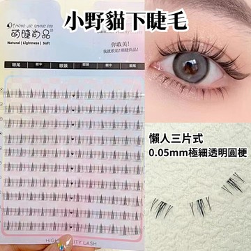 【現貨隔日到】萌睫尚品 小野貓分段下睫毛 透明梗 三部曲 分段式 新手 假睫毛