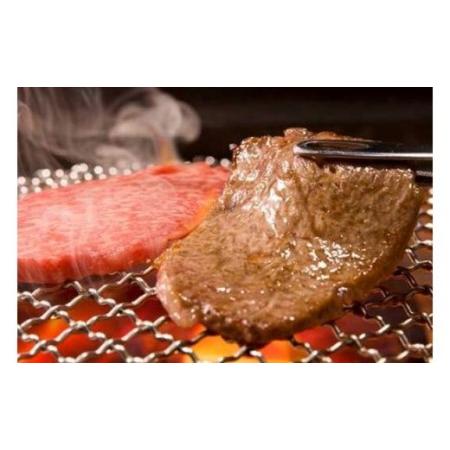 ふるさと納税 近江牛鉄板・焼肉用特選ロース肉　500g 滋賀県守山市