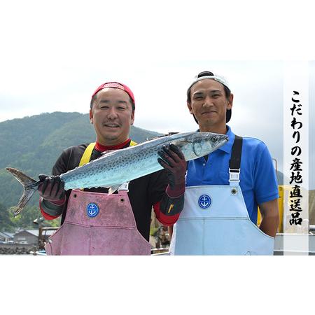 ふるさと納税 越前ガニ(約1kg〜1.2kg) 1杯 黄色タグ付 福井県南越前町