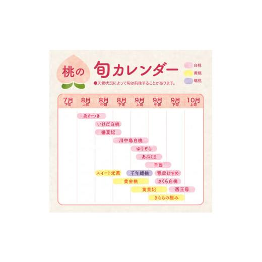 ふるさと納税 山形県 東根市 白桃 (品種おまかせ) 5kg (12〜18玉) 東根農産センター提供