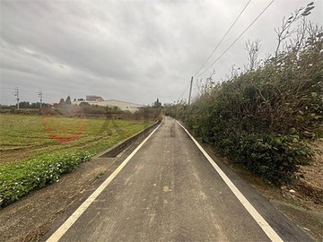 新屋台15線文化路三段旁一般農｜桃園市新屋區大牛欄