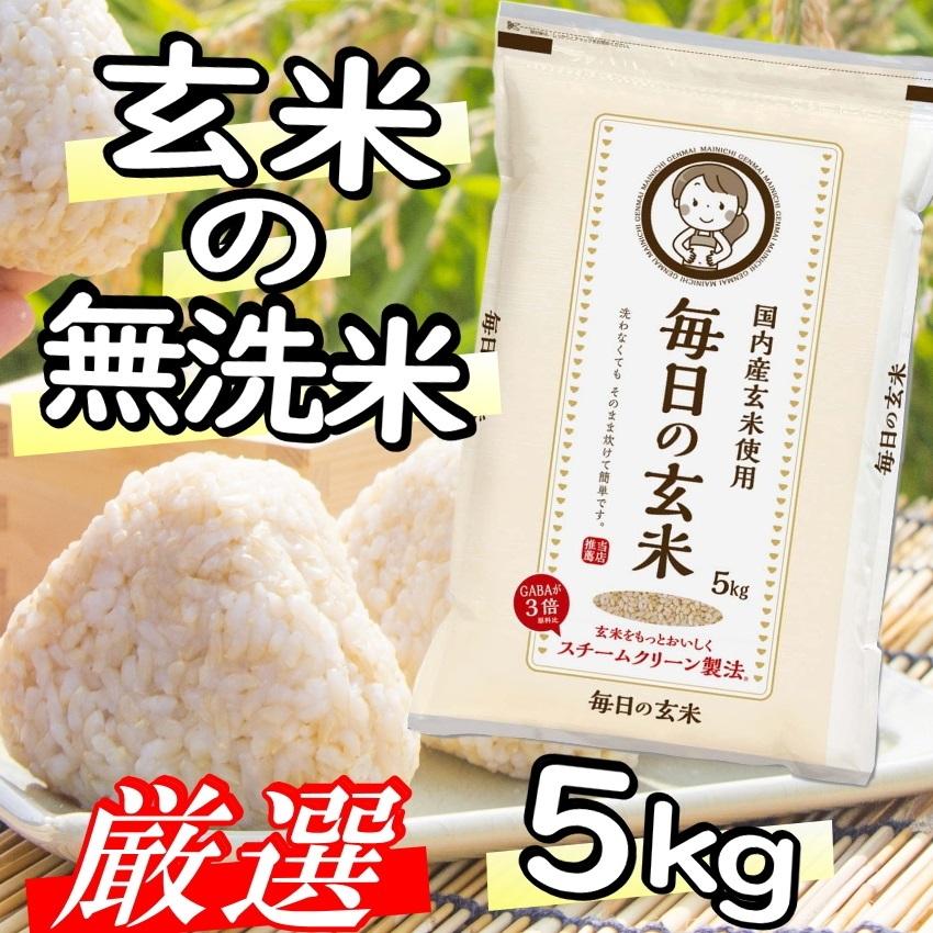 玄米 5kg 毎日の玄米 無洗米 送料無料 ５ｋｇ 国産 米 5キロ