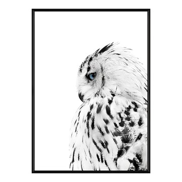嘿美 貓頭鷹掛畫  59.4 x 42cm  黑色