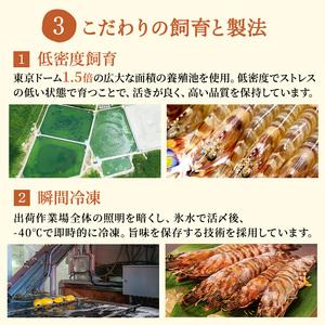 ふるさと納税 2024年 先行予約 車えび 1kg 竹富島産 冷凍 エビ 沖縄県竹富町