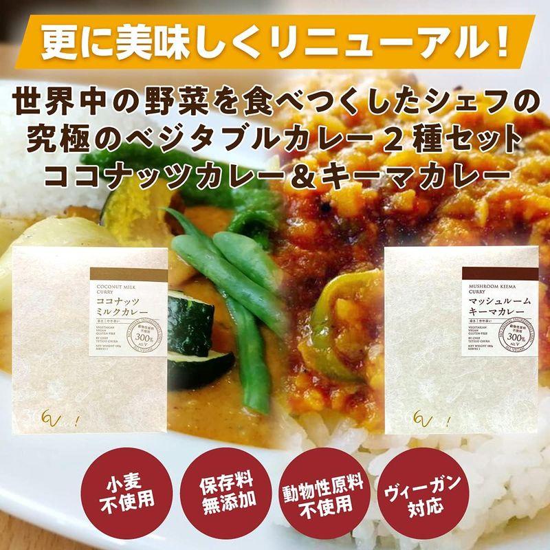 ベジタブルキーマカレー、ココナッツカレー(180g)2種×5パック レトルトカレー