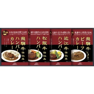 飛騨高山ファクトリー 松阪牛 近江牛 飛騨牛仕込みハンバーグ ＆ カレー 詰合せ HBK-28