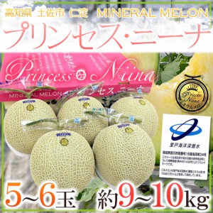 高知県 ”ミネラルメロン プリンセス・ニーナ” 5～6玉前後 約9～10kg 送料無料