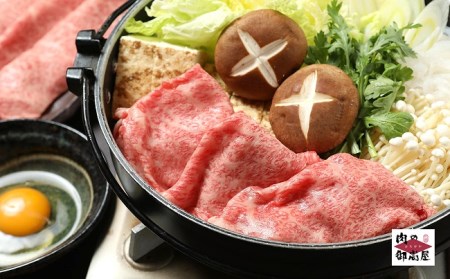 飛騨牛食べ比べセット　5回　A4～A5・焼肉・しゃぶしゃぶ・すき焼き・牛肉