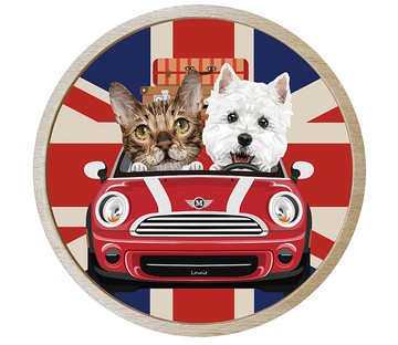 軟式珪藻土吸水 - MINI 車車套組(杯墊+櫸木底座)