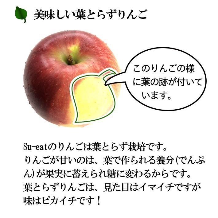 11月中旬　訳あり サンふじ 8キロ  長野産 減農薬 送料無料