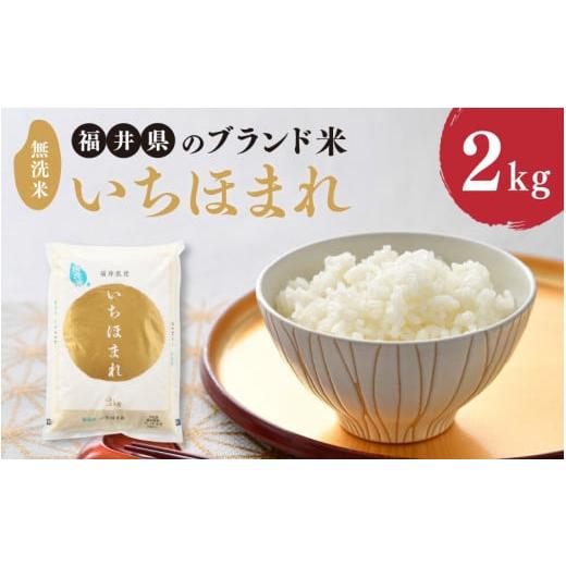 ふるさと納税 福井県 坂井市  福井県のブランド米 いちほまれ 無洗米 2kg[A-6101]