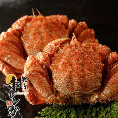 北海道オホーツク産 特選毛ガニ (500g×2) 海鮮ギフト 毛蟹 お取り寄せグルメ 贈答品 高級
