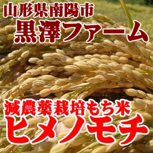 山形県産 減農薬栽培もち米ヒメノモチ 1kg