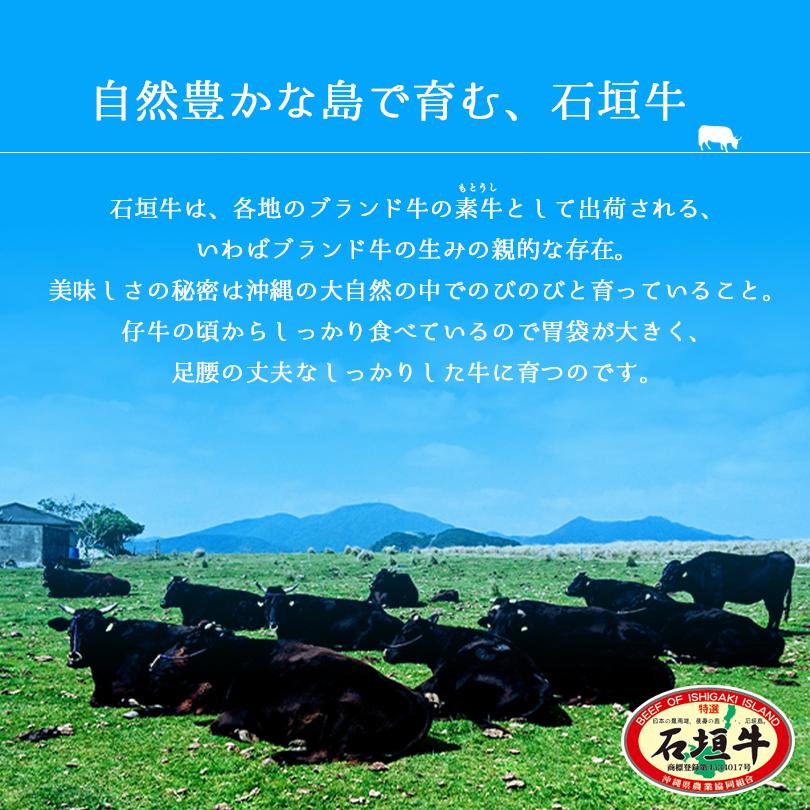 お歳暮 石垣牛 特選 カルビ 特上  送料無料 沖縄県産和牛 沖縄 グルメ お取り寄せ お取り寄せグルメ 和牛 黒毛和牛 お中元