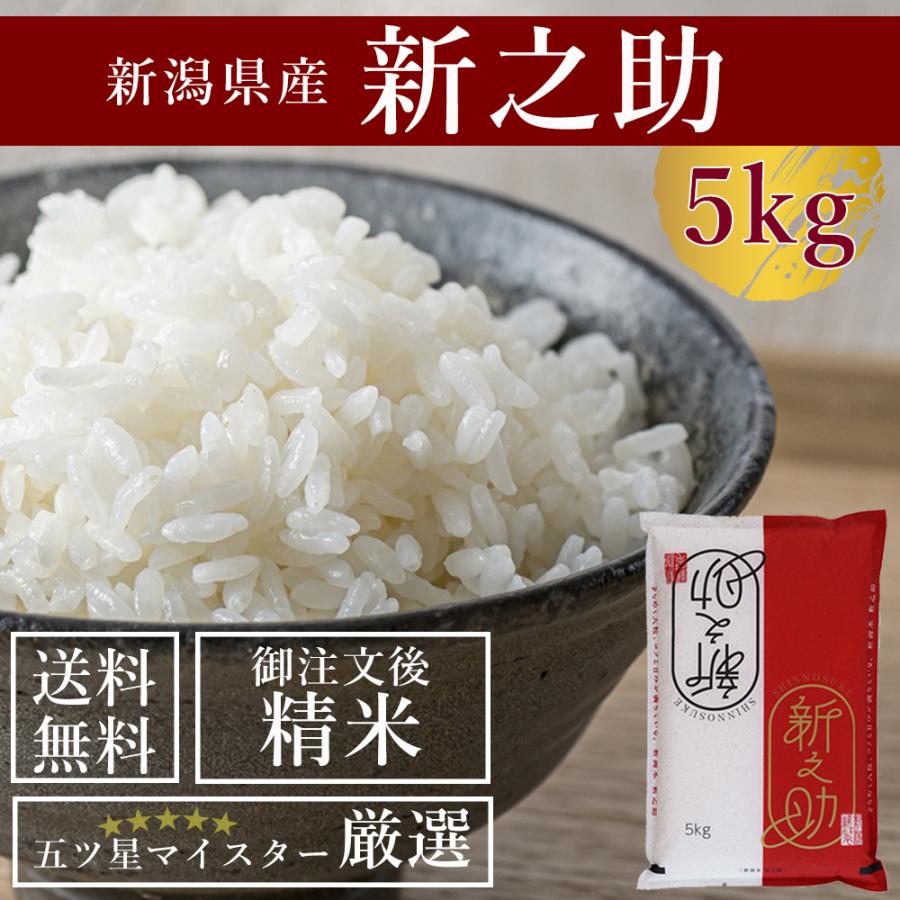 受注精米 新潟県産 新米 新之助 5kg お米 送料無料 白米 新品種 2023年 令和5年産