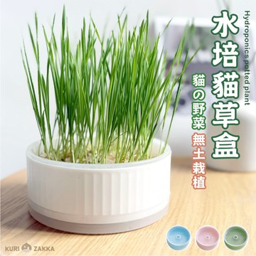 MAOFI 貓草水培盒｜另售貓草種子 免土 水耕盆栽 水栽盒 水培皿 小麥草 苜蓿 黑麥 兔草 龜草 鼠草 DIY 栗屋