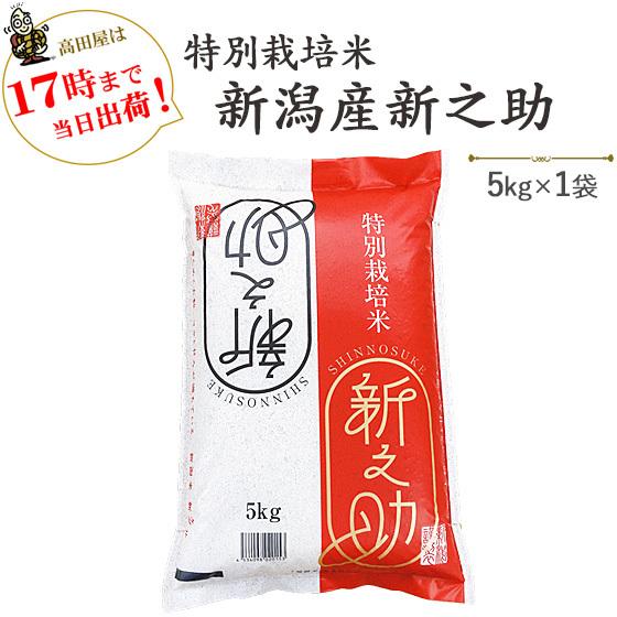 令和５年産　お米 5kg 白米 特別栽培米 新潟産新之助  5kg×1袋　※送料無料（一部地域を除く）