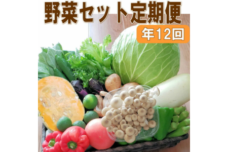 定期便 旬の新鮮野菜セットAたっぷり15品以上