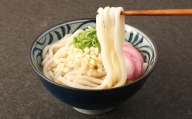 和風 スープ付き うどん 30食 210g×30袋 生タイプ麺