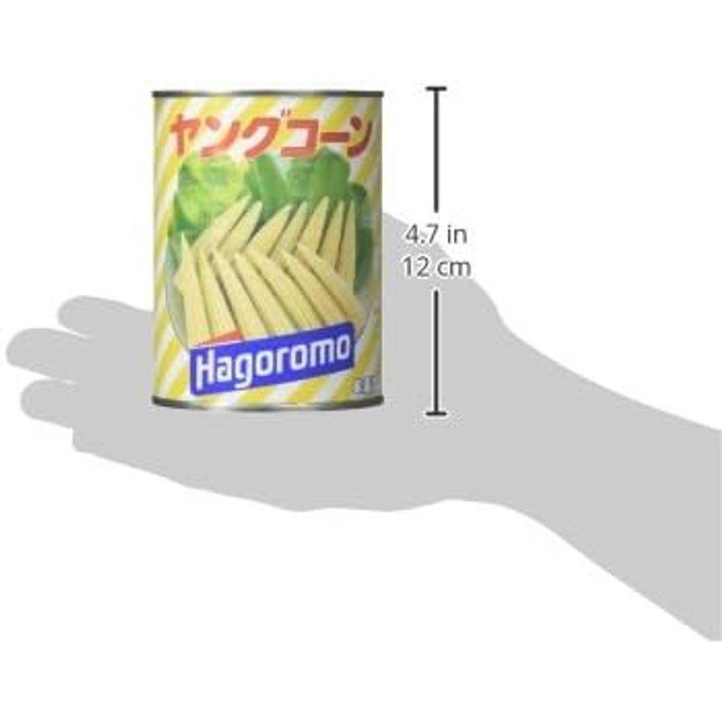 はごろも ヤングコーン タイ産 540g (2370)×2個