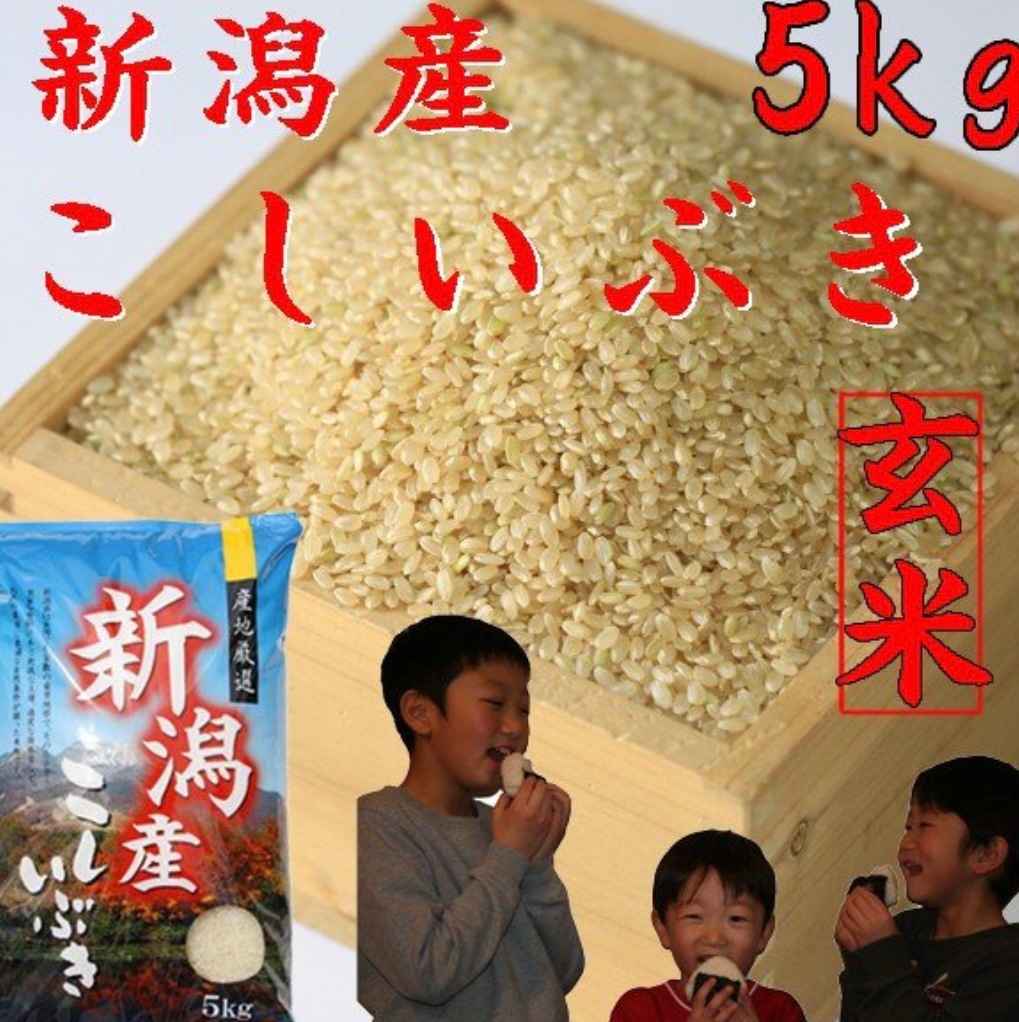 新潟県産 新米 こしいぶき 玄米 5kg 令和5年産 新潟産 玄米5kg 米 高級米 おいしいお米 美味しいお米 産地直送 農家の米 コシヒカリの郷小出農場