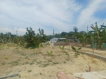 義大二路旁特定專業農地｜高雄市仁武區仁義段